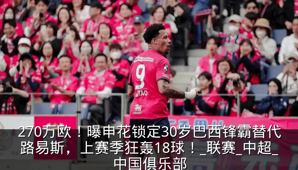 270万欧！曝申花锁定30岁巴西锋霸替代路易斯，上赛季狂轰18球！_联赛_中超_中国俱乐部