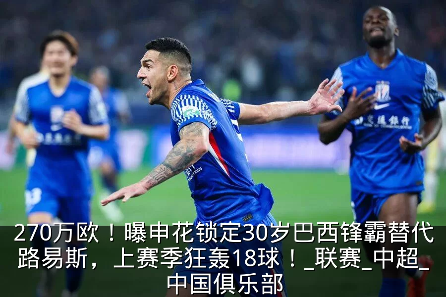 270万欧！曝申花锁定30岁巴西锋霸替代路易斯，上赛季狂轰18球！_联赛_中超_中国俱乐部
